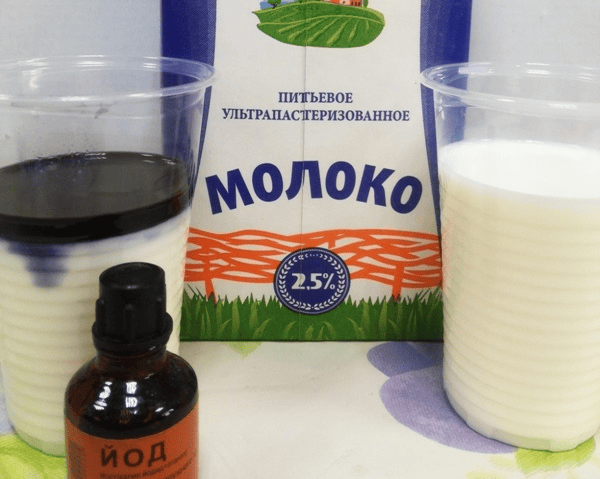 Фитофтороз на точке роста томатов. Что такое фитофтора. Фунгицид Строби поможет защитить томаты