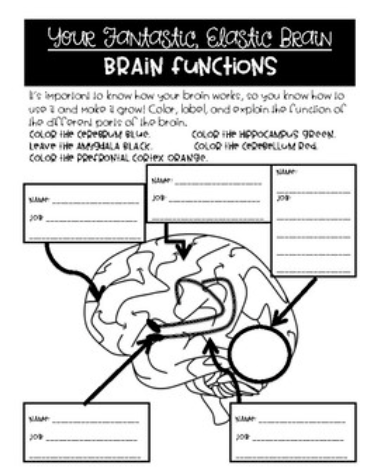 Your Fantastic Elastic Brain SELspace