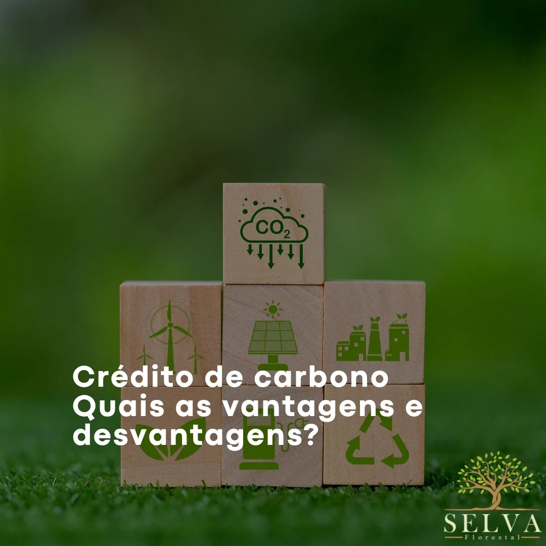 Crédito de Carbono Quais as vantagens e desvantagens?