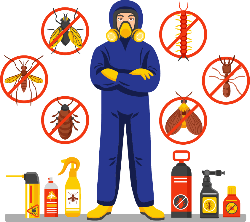 Pest Control Services DM Approved Certified