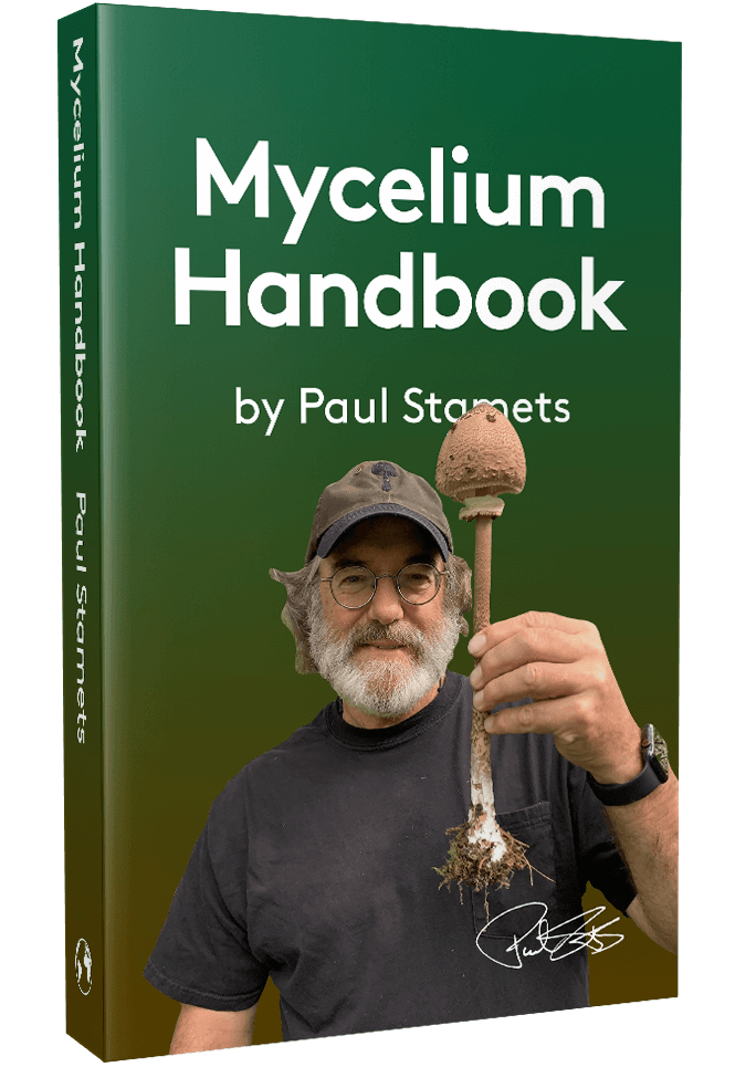 Paul Stamets » Semaine