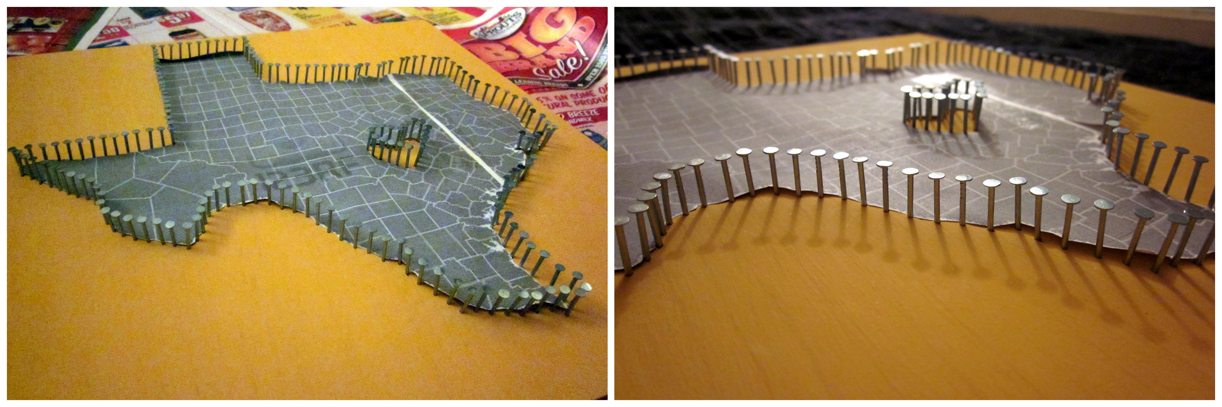 Succulent String Art Succulent Sign Cactus Sign String Art