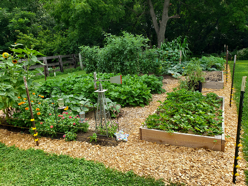 Converting A Traditional Garden To A Raised Row Garden