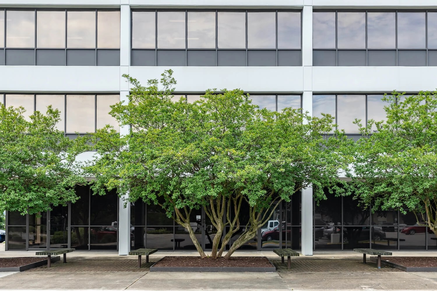 Pembroke Office Buildings Seminole Trail Management