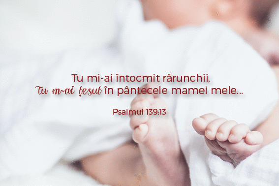 Versete Utile Pentru SarcinÄ Èi NaÈtere Oaks In Acorns Stejarii Din Ghinde