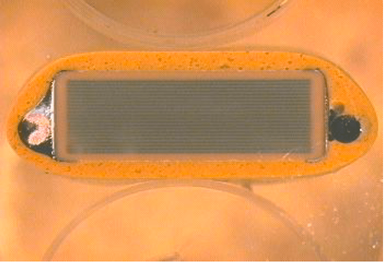 Ceramic Capacitor Failure Analysis SEM Lab Inc.