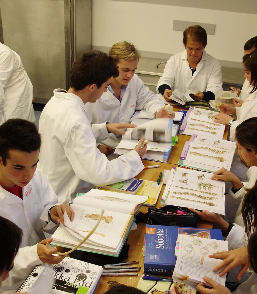 2013/2014 Second semester Department of Anatomy