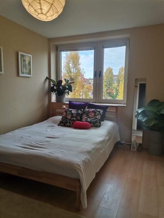 70 m2 one bedroom apartment for rent on Márton street Semmelweis Housing