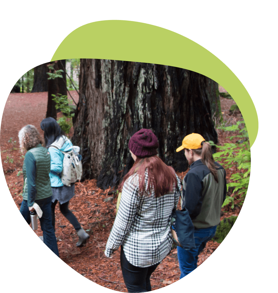 Join Sempervirens Fund for the HugaTree Challenge on Earth Day 2022