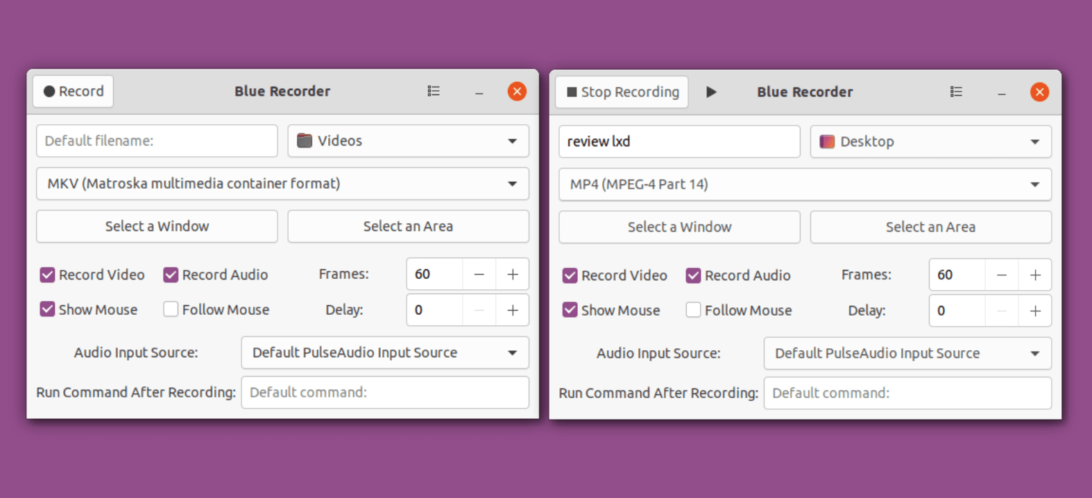 Como instalar o Blue Recorder, um gravador de tela, no Ubuntu, Linux
