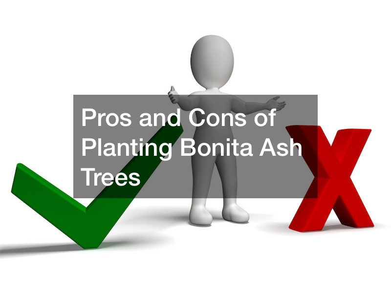 Pros and Cons of Planting Bonita Ash Trees SEM Technology