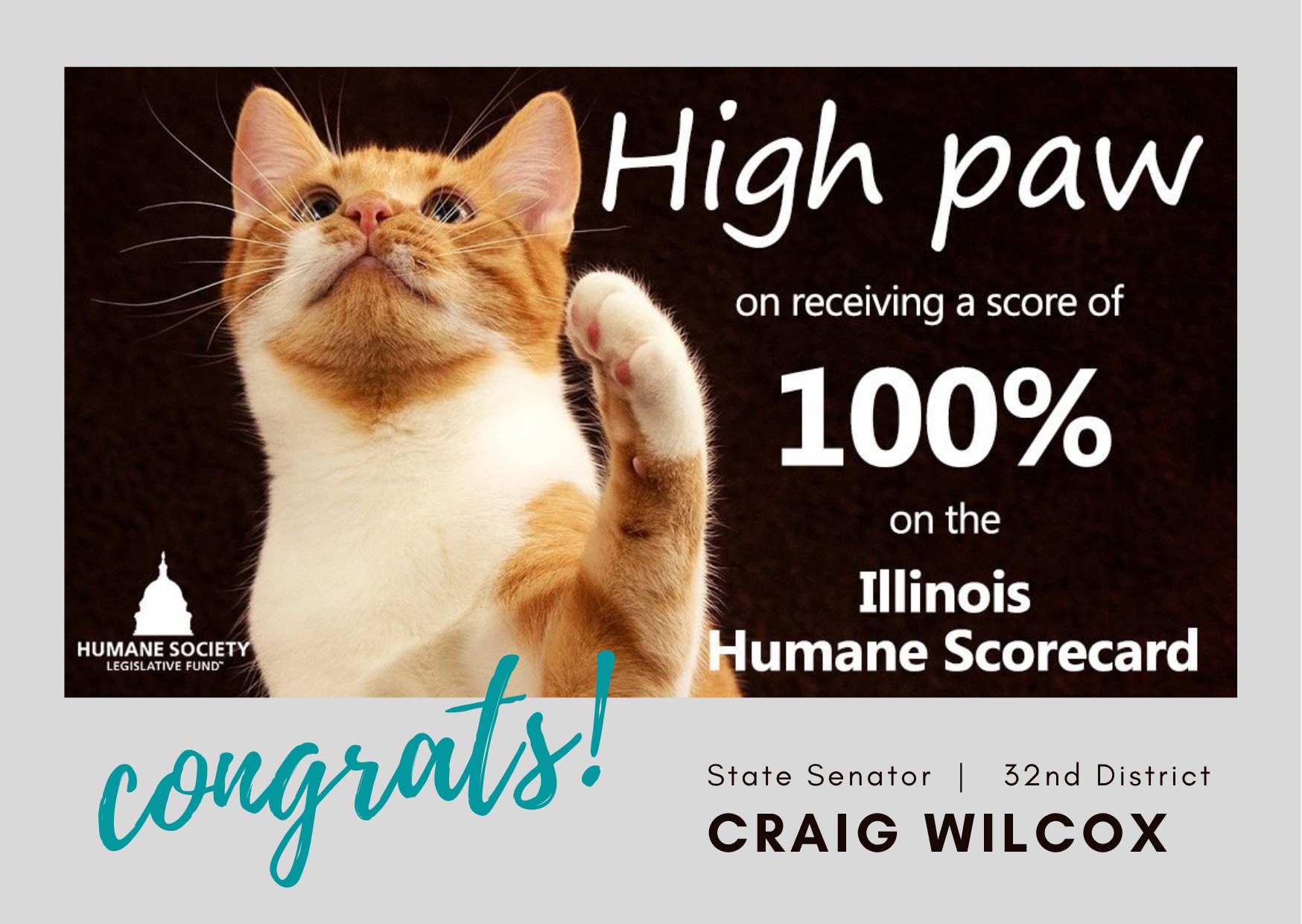 Senator Craig Wilcox Earns Perfect Score on Illinois Humane Society’s Legislative Scorecard