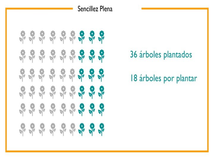 Cuánto tiempo te queda de vida