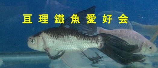 亘理鐡魚愛好会