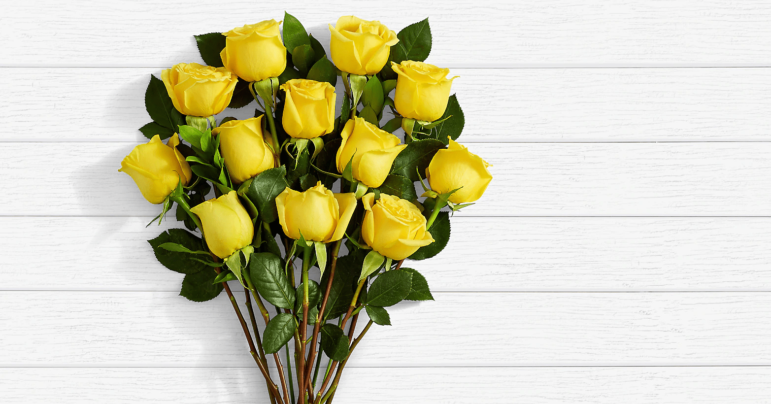 Long Stem Yellow Roses Roses Delivery in Lahore Send Flowers Pakistan