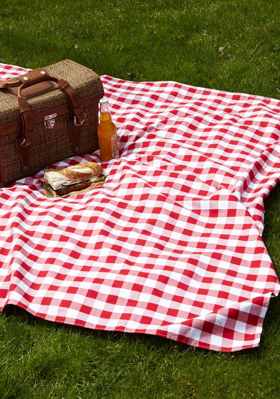 5 MustHaves for Throwing the Perfect Picnic Party Sendo Invitations