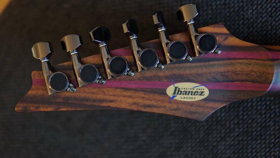 Ibanez Guitar Serial Number Lookup sendplus