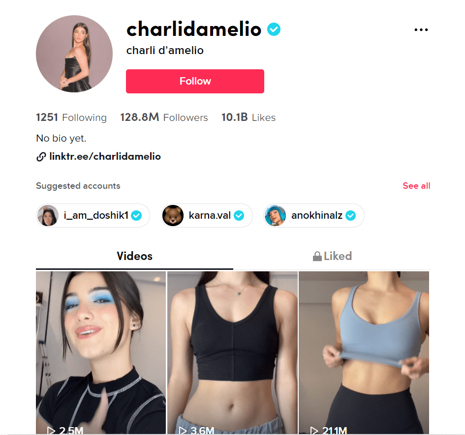 How to Put a Link in TikTok Bio and Optimize It to Boost Traffic