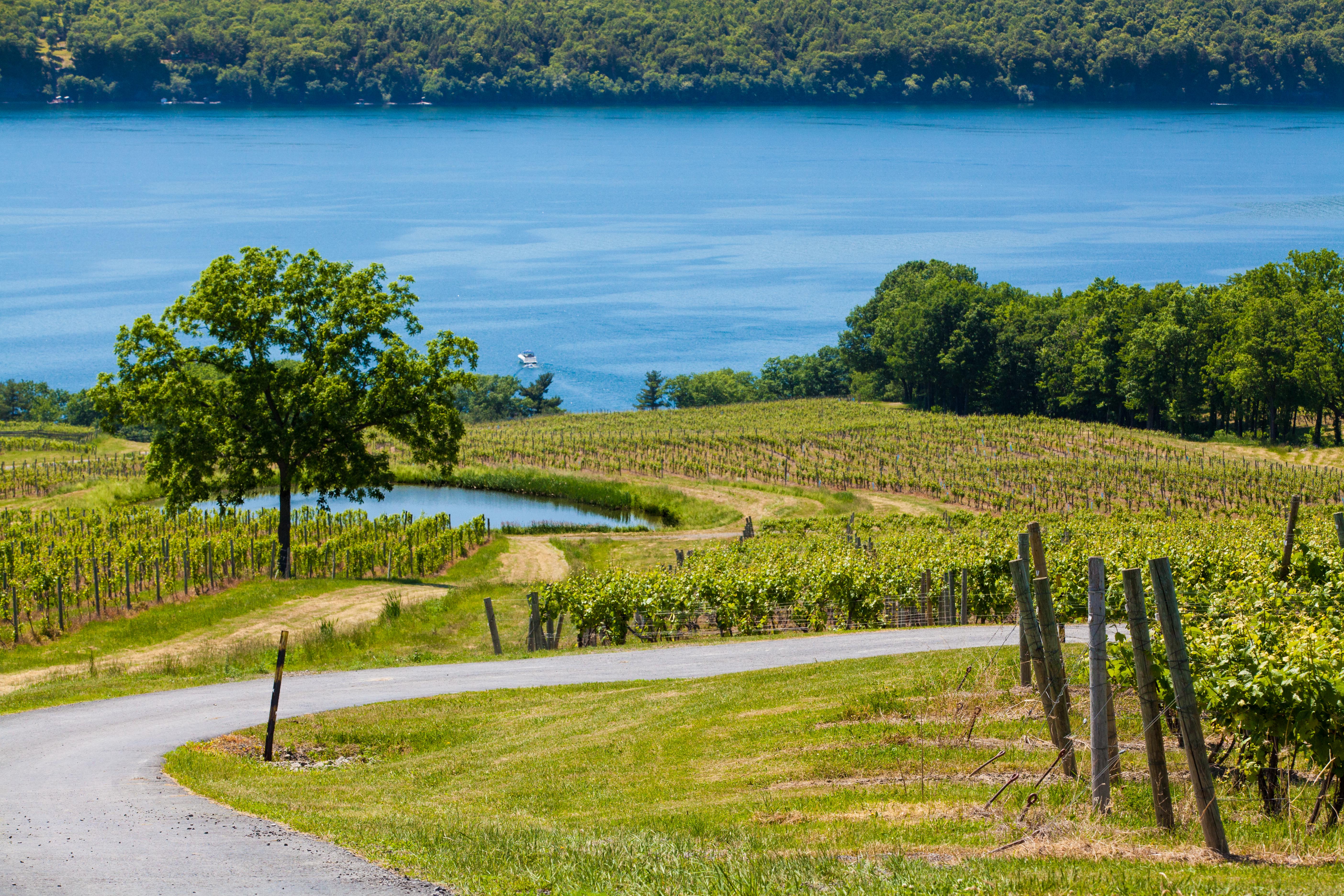 Seneca Lake Wine Trail