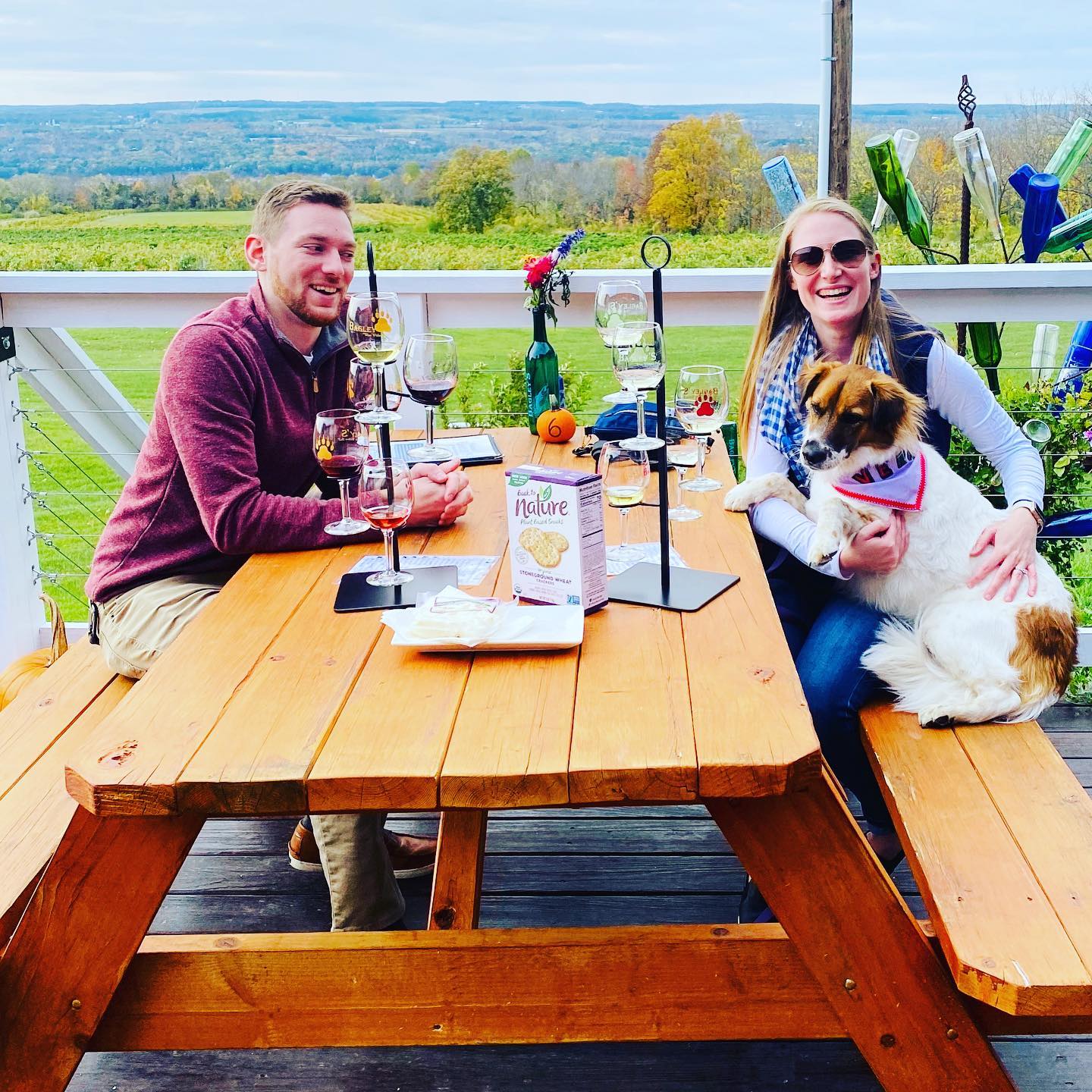 Dog Friendly Wineries Seneca Lake Wine Trail