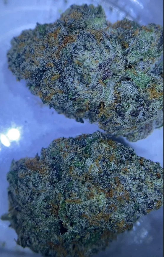 Peppermint Patty SeneCali