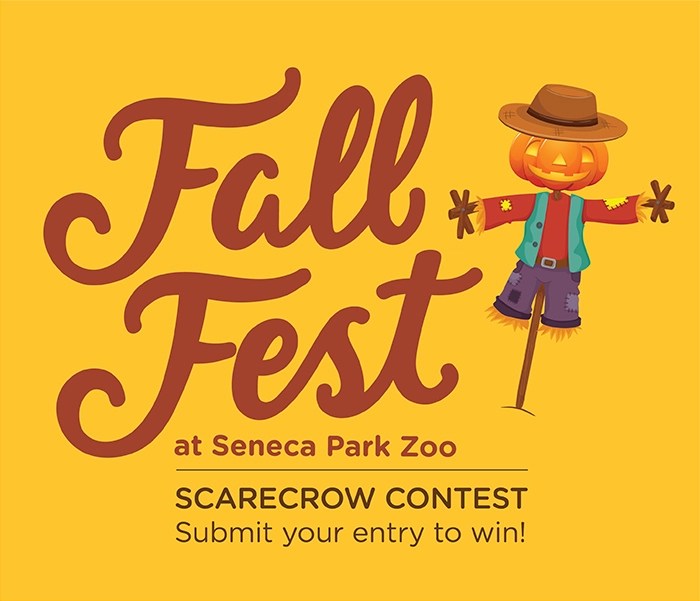 Seneca Park Zoo Fall Fest Kickoff/Scarecrow Weekend! Seneca Park Zoo