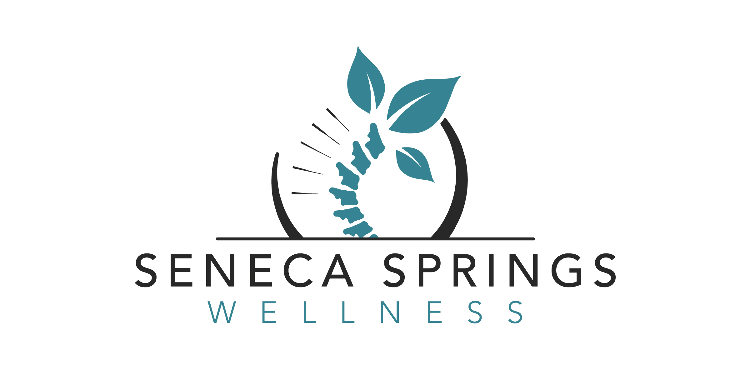 Contact » Seneca Springs Acupuncture Chiropractic and Massage Therapy