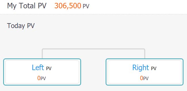 What Is Point Value Pv Seng Lee