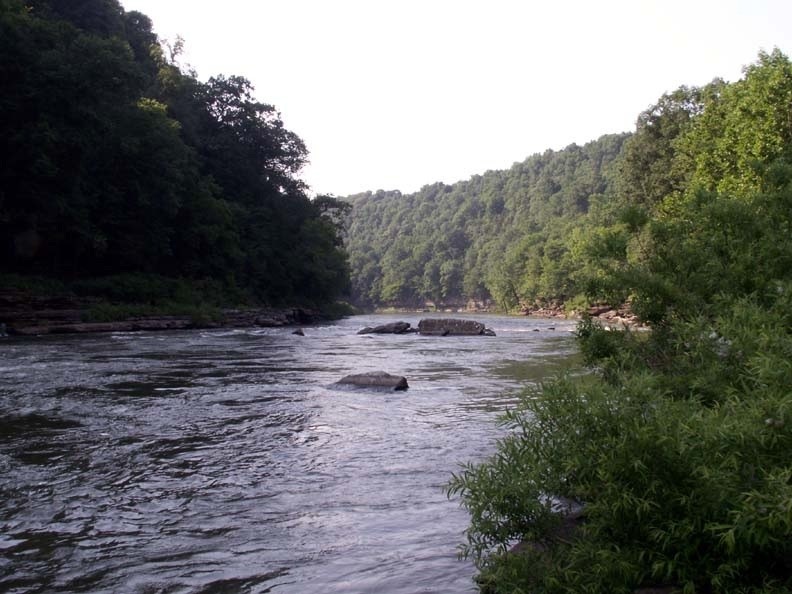 February 2009 Senior Moments