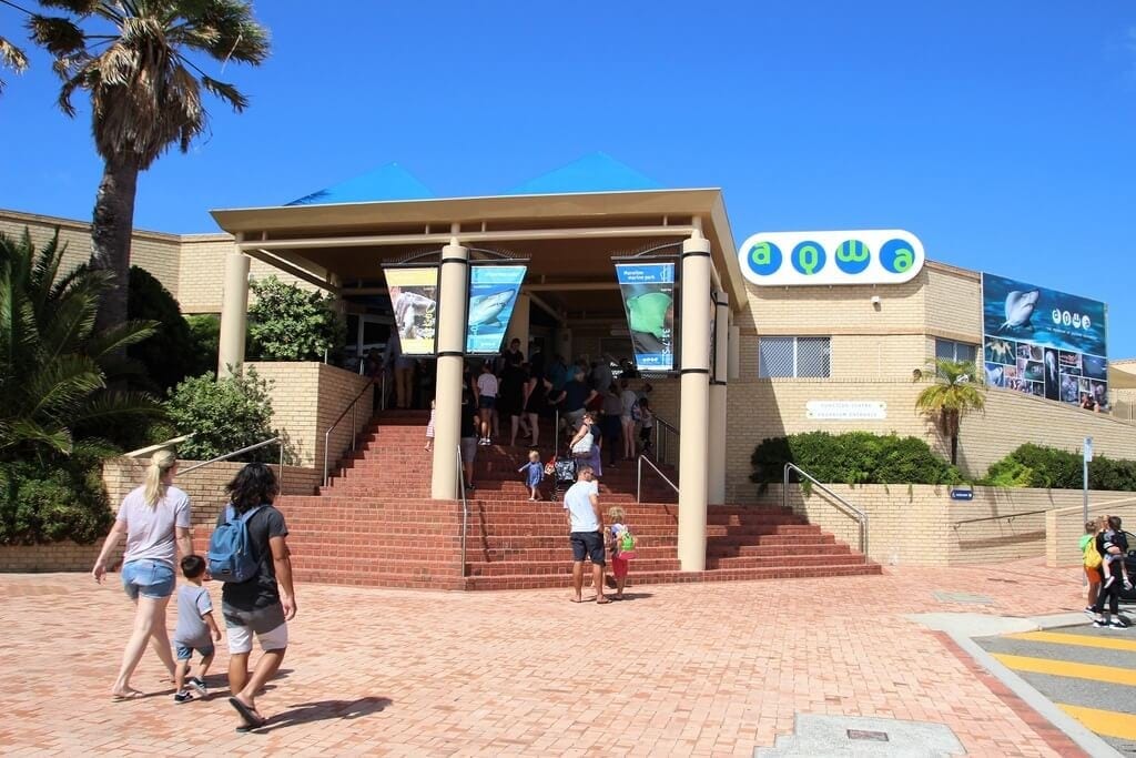 AQWA The Aquarium of Western Australia, Hillarys Seniors / Over 55's