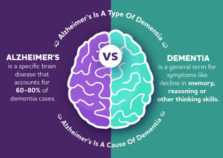Dementia vs. Alzheimer’s Disease What is the Difference? SBB