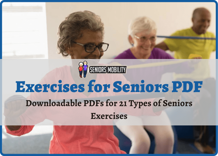 Exercises for Seniors PDF Downloadable PDFs for 21 Types of Seniors