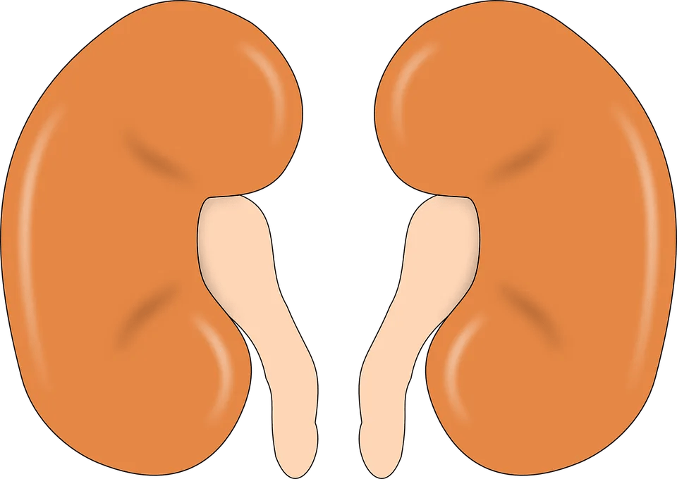 Free Burial Insurance Quotes With For Kidney Dialysis