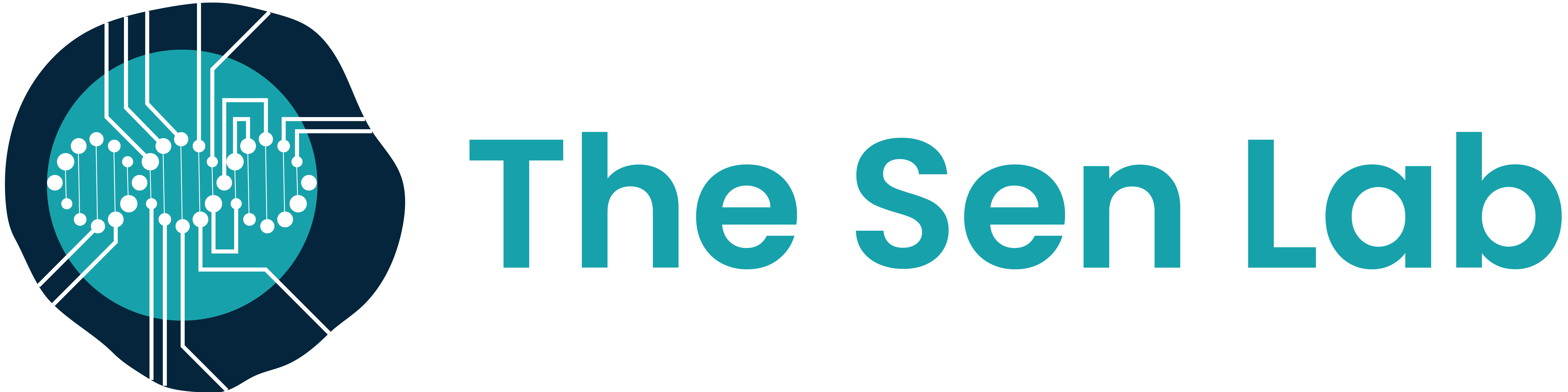 Sen Lab summer research interns The Sen Lab