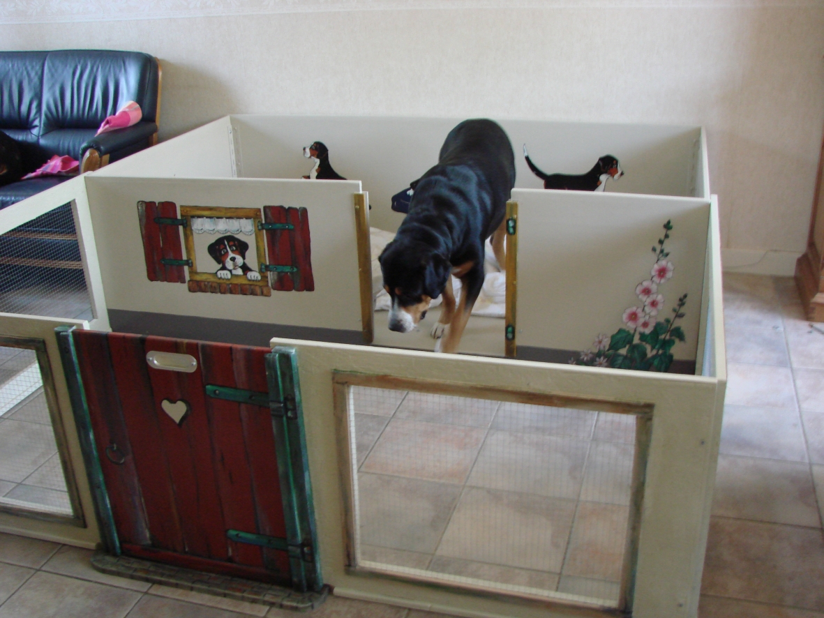 Geburt « Gretes Sennenhunde Blog