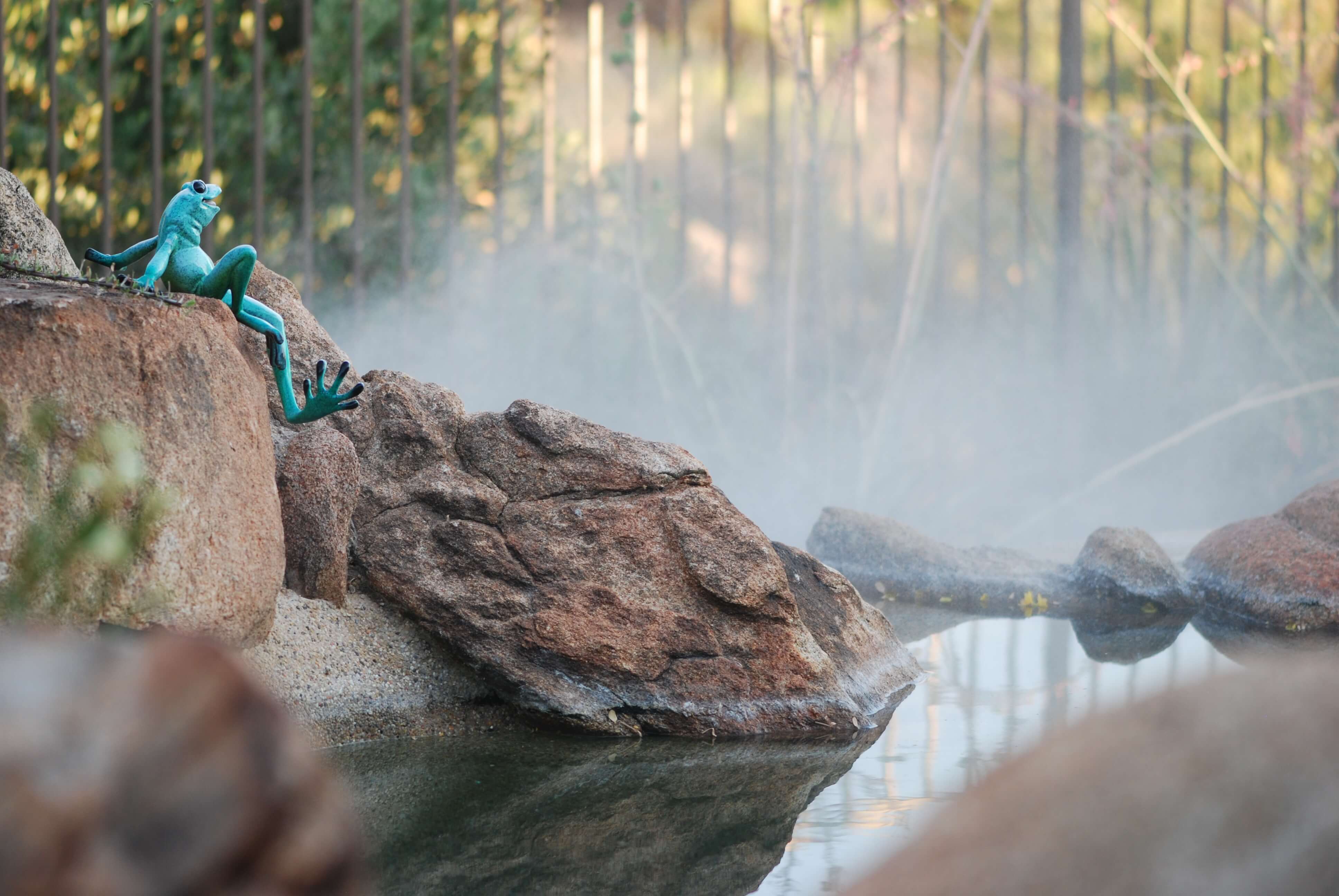 Mist and Fog Systems Gallery in Arizona Señor Mist