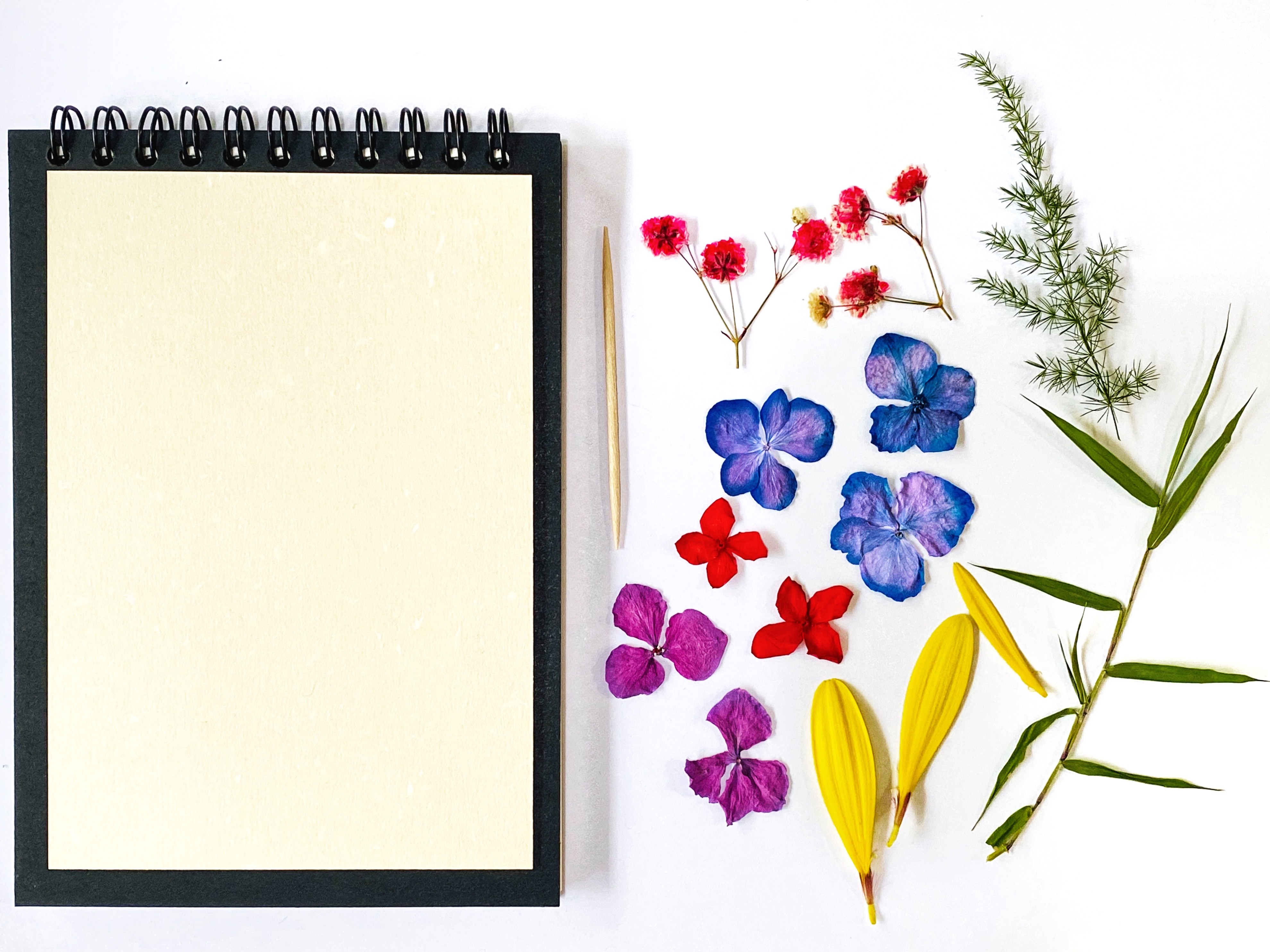 DIY Pressed Flower A6 Notebook Kit Sense of Arts