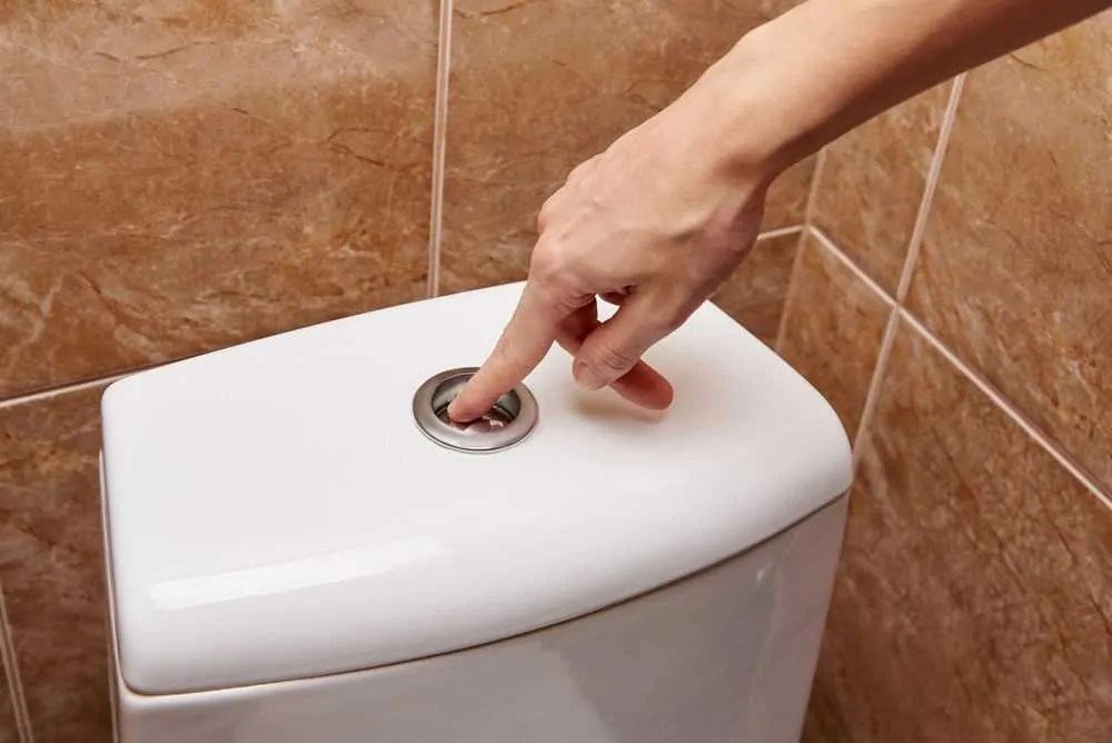 9 Types of Toilet Flush Systems (Pros and Cons) Sensible Digs