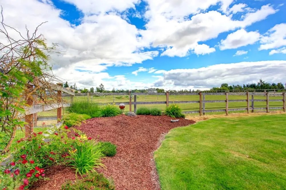 14 Clever Uses for Sawdust