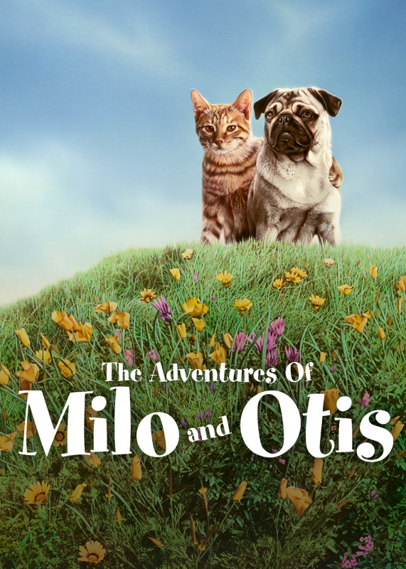 AnimalInspired Movies on Netflix StreamTeam