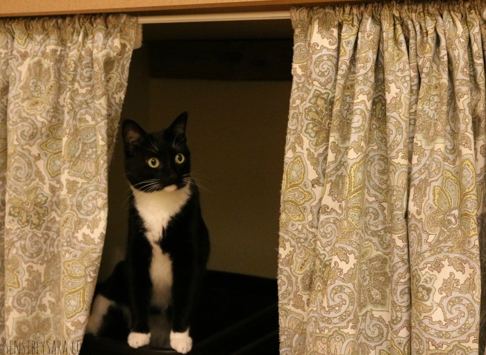 DIY NoSew Cat Litter Box Curtain [AD] YouGottaBeKittenMe