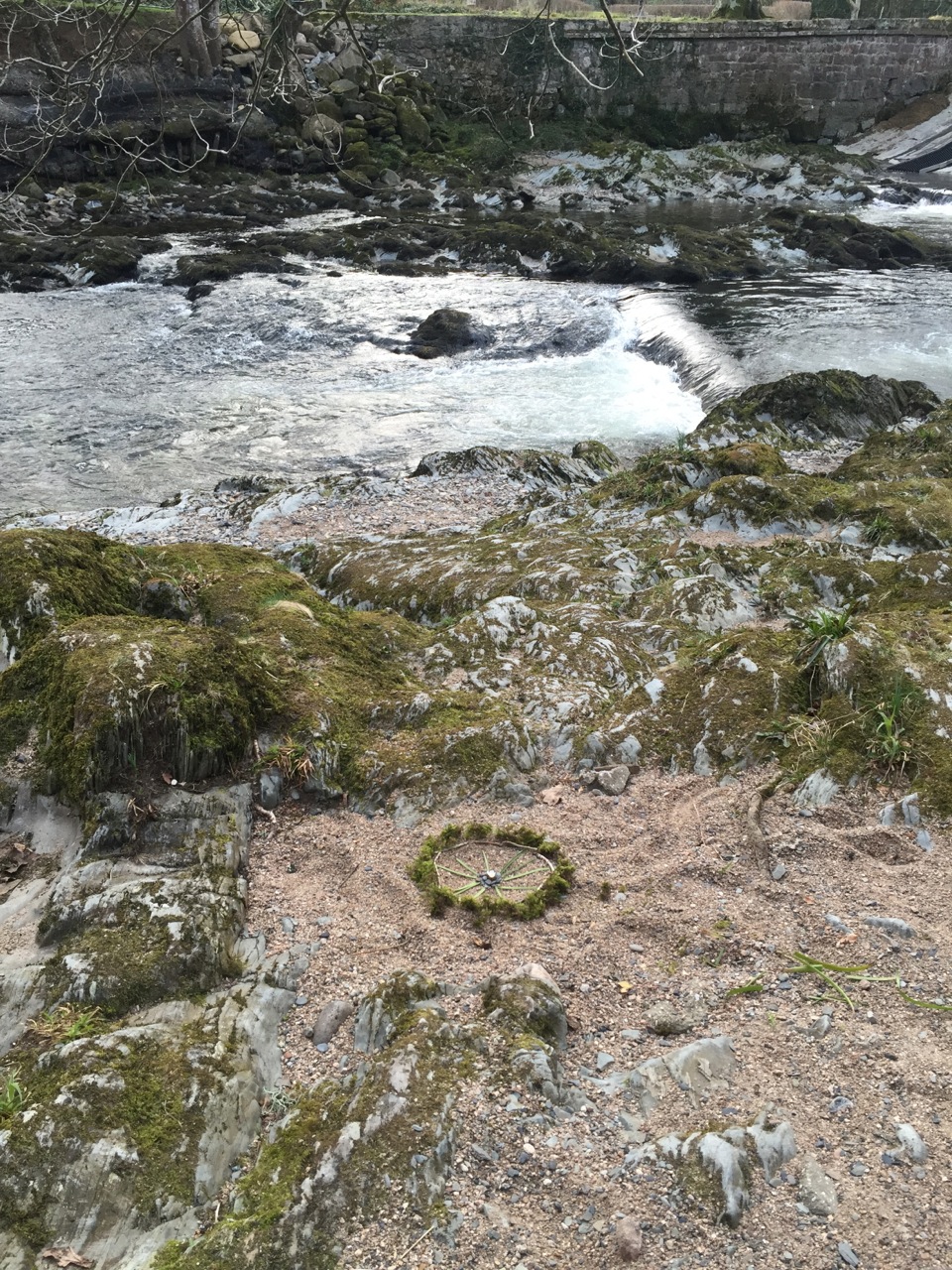 Resources SensingSelf