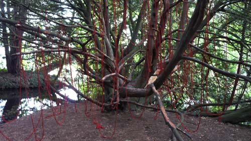 Under The Tree Land Art Maastricht Sen Sonja Make Art