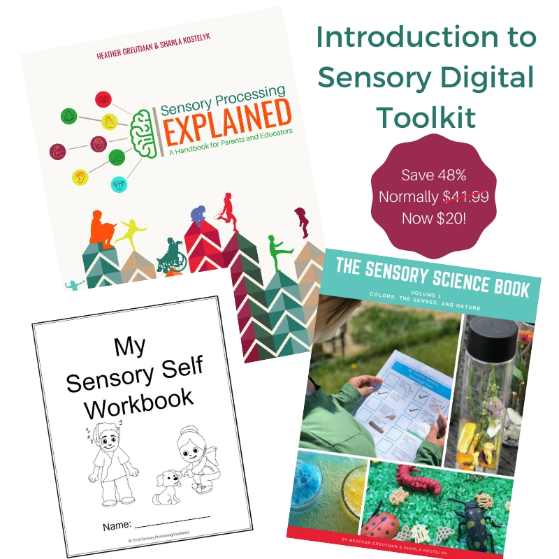 Introduction to Sensory Digital Toolkit Sensory Processing Explained
