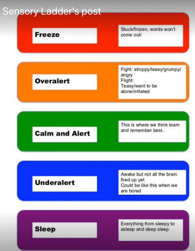 Step Ladder Risk Assessment Template