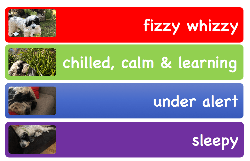 webinar-sensory-ladder-sensory-project