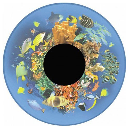 Projector Effects Wheel (Tropical Fish)