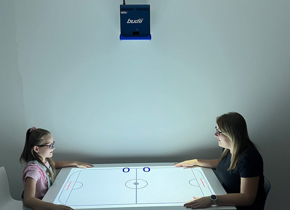 omiBudii Sensory Wizard