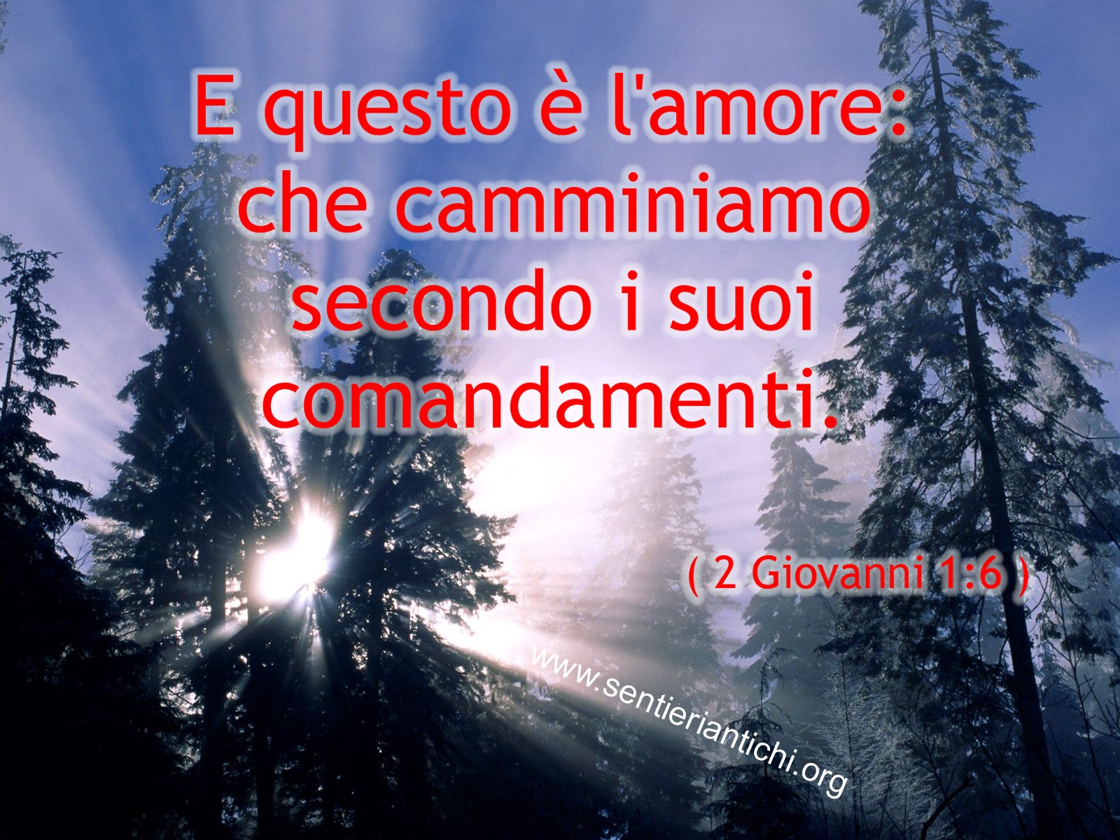 Sentieri Antichi Cartoline con versetti biblici