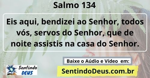 Salmo 134 Sentindo Deus